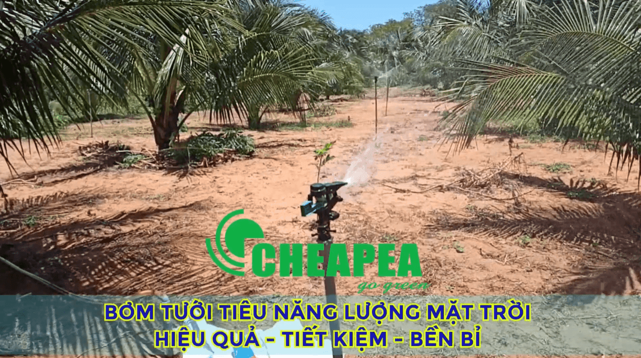 bom-bien-tan-1.5hp-9