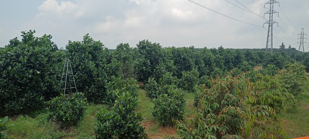 IMG20211015102155